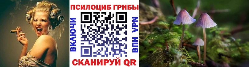 Купить где Вичуга Галлюциногенные грибы ЛСД